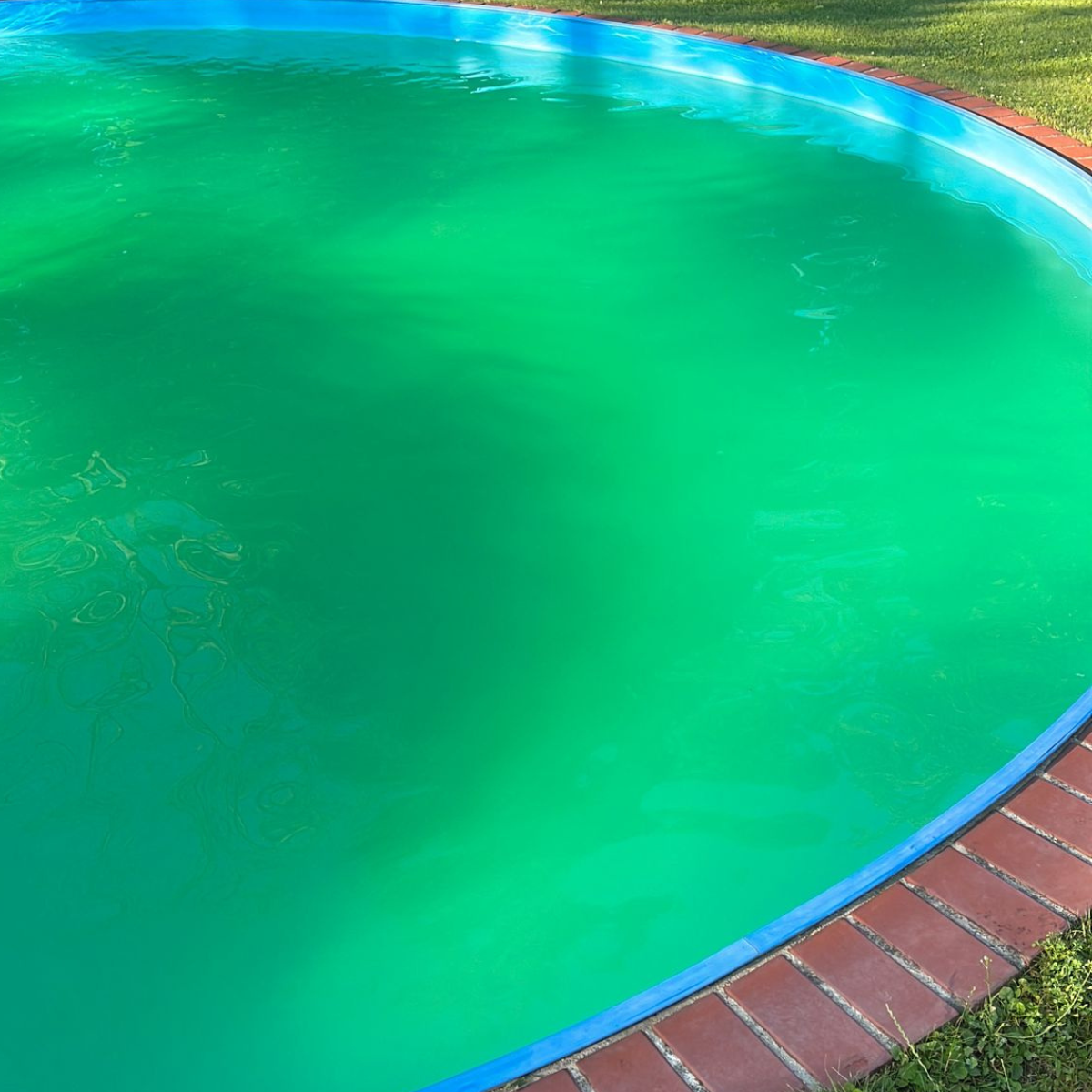 Grünes Poolwasser über Nacht?