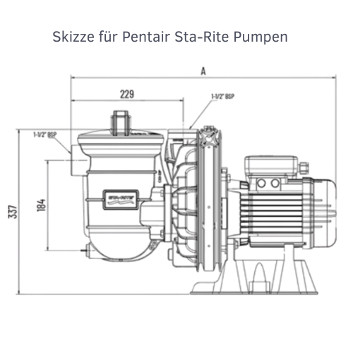 Pentair Sta-Rite IE2 Filterpumpe | P-STR-101E2D | 0,75kW | 230V